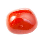 red coral